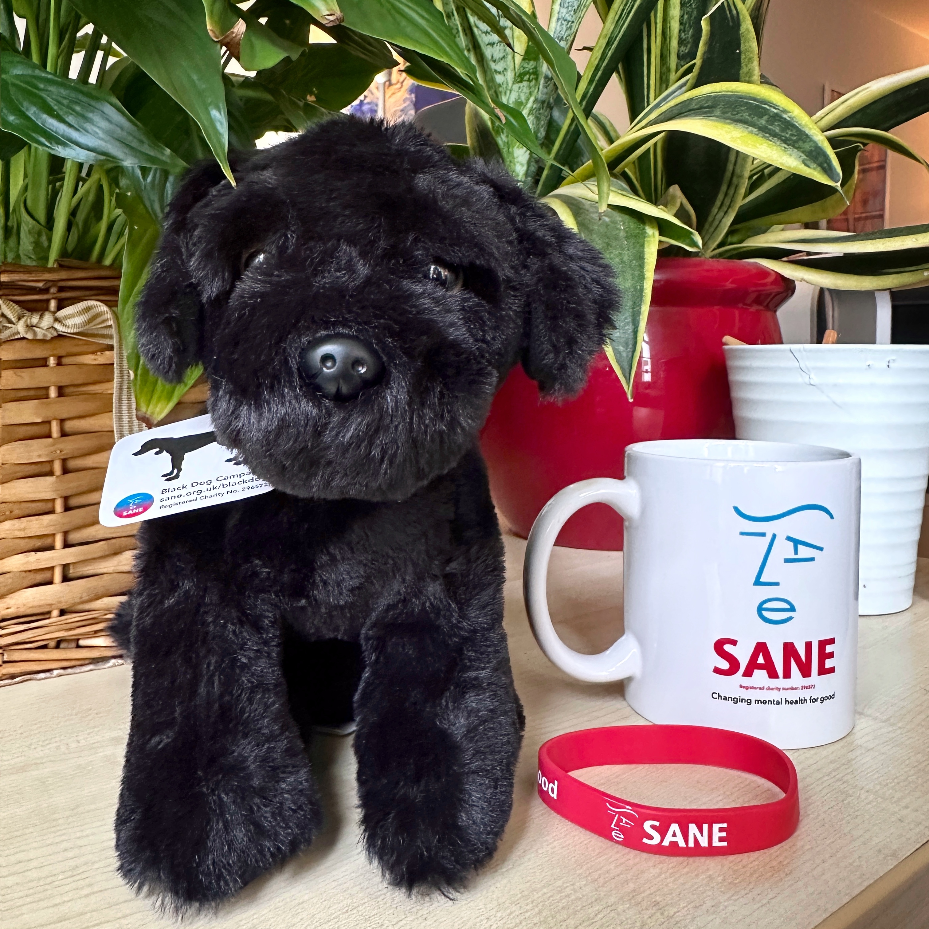 Plush SANE Black Dog - Image 4