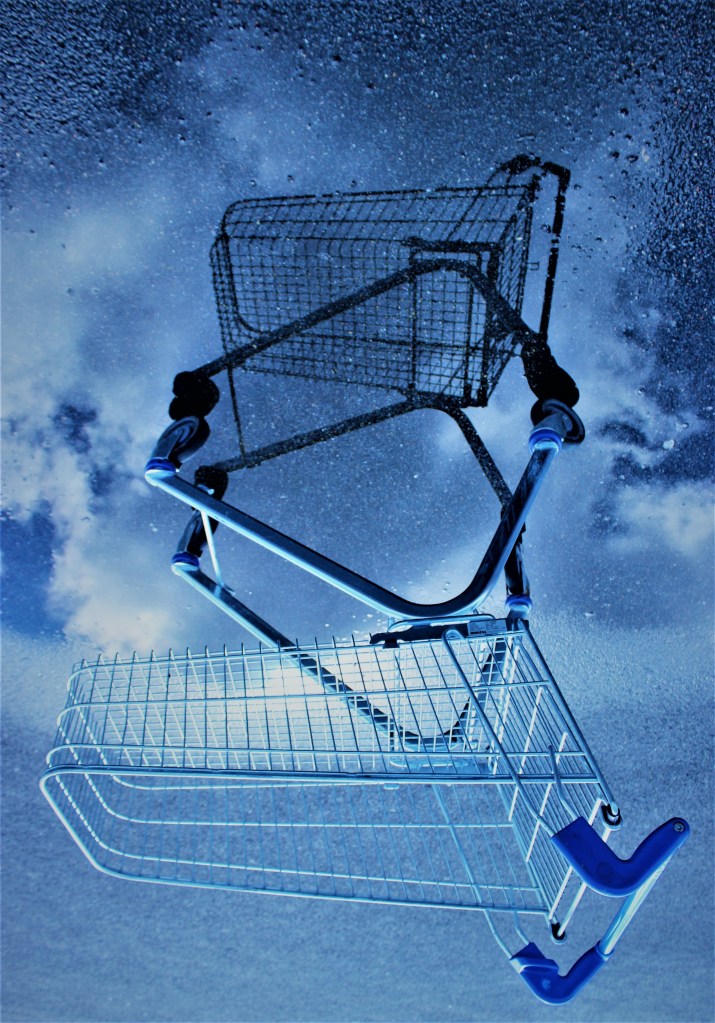Abandoned Trolley - Paulette K.