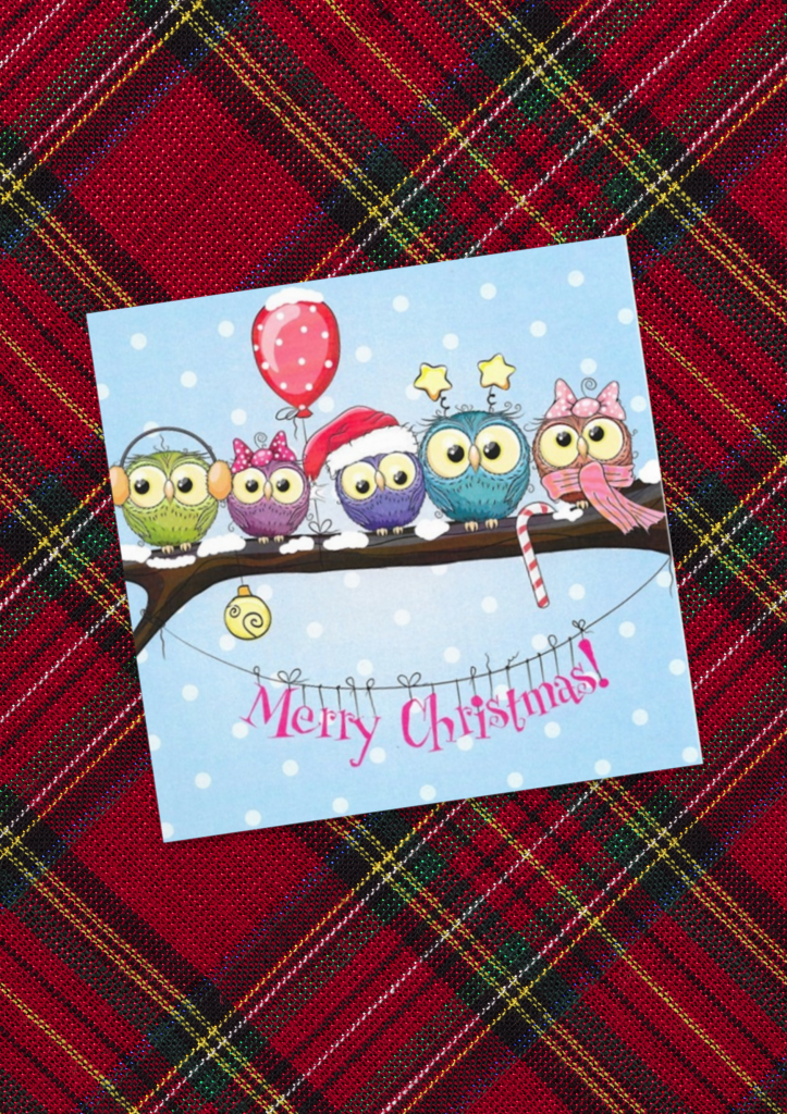 Celebratory Owls Christmas Cards